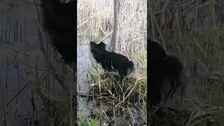 охота на рыбу