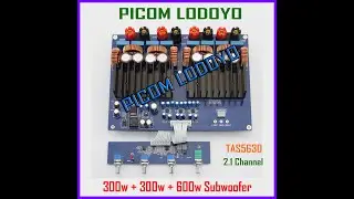 Power Class D TAS5630 300w + 300w + 600w Subwoofer Digital Audio Amplifier PICOM LODOYO Blitar