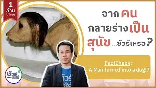 ชัวร์ก่อนแชร์ :  จริงหรือไม่คนกลายร่างเป็นสุนัข? | สำนักข่าวไทย อสมท