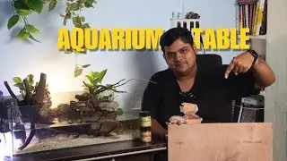 What is the perfect size of table for your aquarium?🤔 || Aquarium table setup guide ||