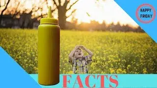 Fun Mustard Facts!