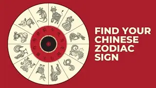 The 12 Chinese Zodiac Signs | Which Chinese Animal Sign Are You & What It Reveals About You