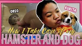 How I Take Care of My Pets sa PAYAMANSION (Kukita the Dog and Oreo Hamster)