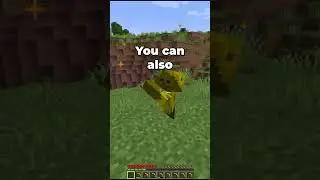 The Midas Origin Explained 
