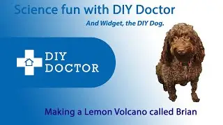 Science fun with DIY Doctor  Making a Lemon Volcano called Brian