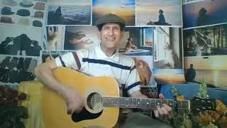 I’VE JUST SEEN A FACE - The Beatles / Paul McCartney | Nick Grgich Rendition