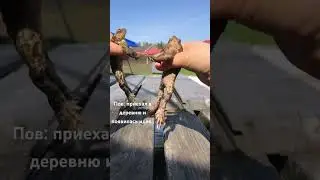 #рекомендации #актив #лягухи