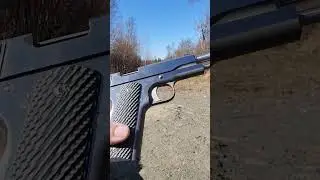 1911 Dan Wesson 10mm Razorback