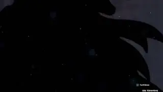 Genshin Impact Wishing for Rosaria