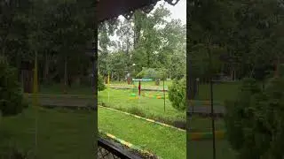Lataguri, Dooars ☔️☔️🌧️🌧️ #shortsfeed #shorts #viral #rain