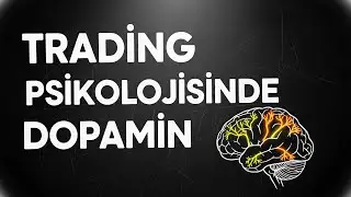 Trading Psikolojisi & Nörofizyoloji İlişkisi (Dopamin-Prefrontal Korteks)