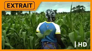 Nigeria - cultiver la paix | Arte - EXTRAIT