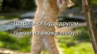 20180131 152455