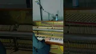 Boney M. - Rasputin #boneym #boney #rasputin #piano #pianocover #pianomusic #pianoplayer #pianosolo