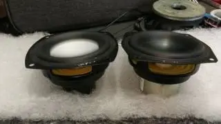 Dayton vs AuraSound - Neodymium Comparison