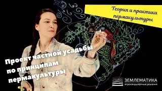 Не знаешь, как расположить дом и посадки на участке красиво и эффективно? Смотри это видео.