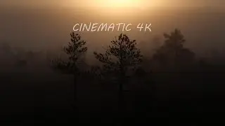 CINEMATIC │ 4K