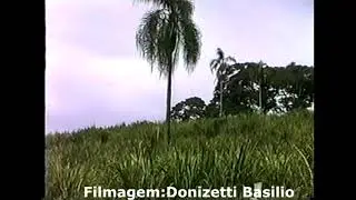 Brazopolis,Bairro dos Farias,2001