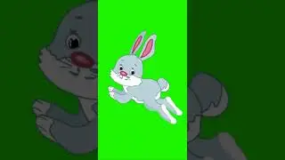 Cartoon Rabbit jumping   Green screen