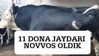 11 TA JAYDARI NOVVOSLAR OLDIK ZO'R NARXLAR...