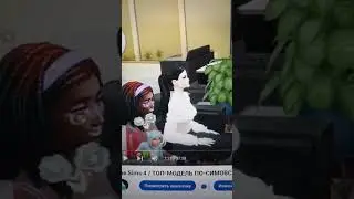 Топ модель по-симовски 