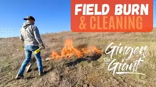 FIELD BURN and Cleaning