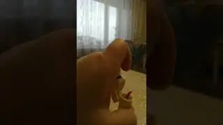 28 ноября 2021 г.