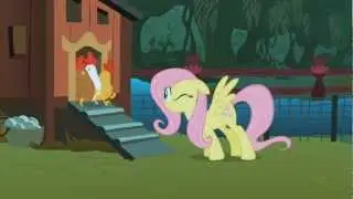 Fluttershy - The Stare - Come on. In you go. There's some good chickens.