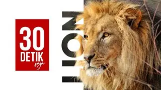30 Detik Masking Teks di Powerpoint