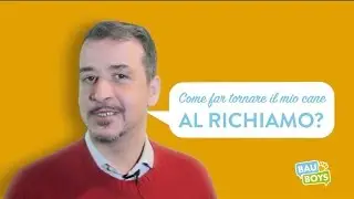 TUTORIAL BAU BOYS - Come far tornare il mio cane al richiamo?