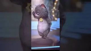 На каналі багато музики
