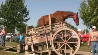 HORSE- POWERED GRAIN SEPARATOR