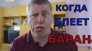Когда блеет баран