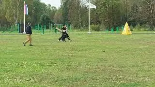 Лобовая Мэта.