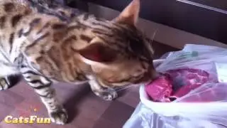 супер ролики