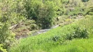 The soothing sounds of Rush Creek