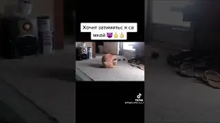 Мем №74 