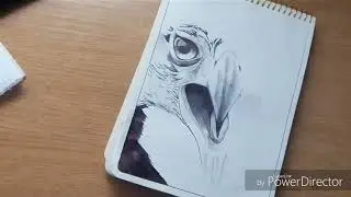 В глаза смотри