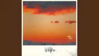 Wildfire