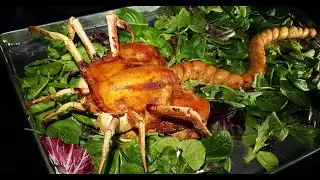 Why you will NEVER eat turkey again