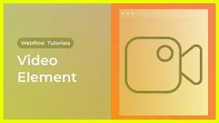 How to add video in webflow?