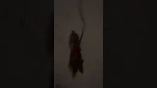 Команда ко мне с расстояния