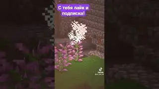 Приколы с друзьями в майнкрафте 