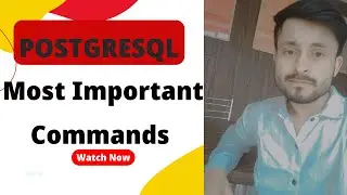 PostgreSQL Commands : Unveiling the Power of Commands, Grant , Revoke, Commit, Rollback & Savepoint