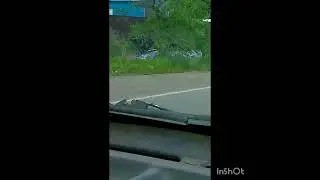 улетел