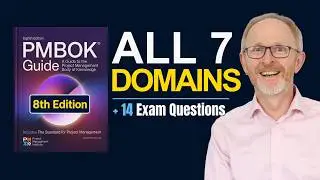 Can You Spot All 7 PMBOK 8 Performance Domains on the PMP Exam? | Episode 555