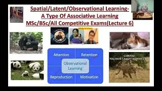 Latent/observational/Spatial learning in animals MSc/BSc/All competitive exams #education #behaviour