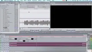 Final Cut Express Effect #4: Audio effect - Pitch Shift & Echo