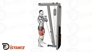 Squats avant à la poulie