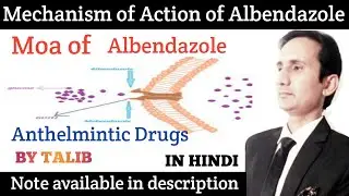 Mechanism of Action of Albendazole In Hindi | Mechanism of Action of Anthelmintic Drugs